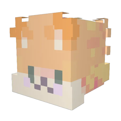 xxmeanbao Minecraft avatar head, 3D render