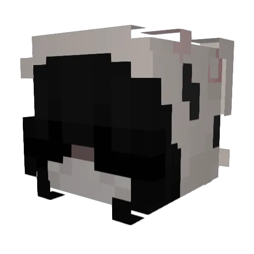xxn_ Minecraft avatar head, 3D render