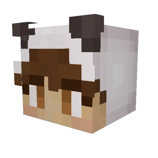 xxnaimii Minecraft avatar head, 3D render