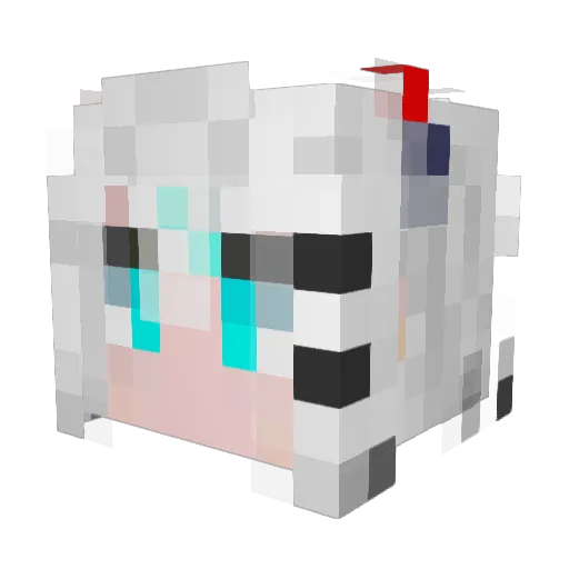 xxnb77 Minecraft avatar head, 3D render
