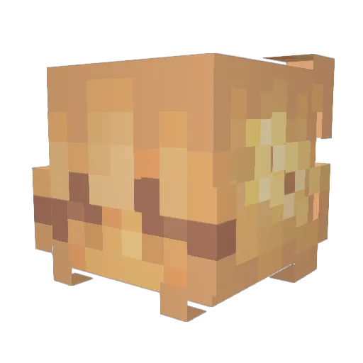 xxnry Minecraft avatar head, 3D render