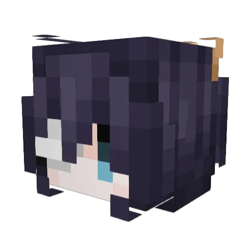 xxnuaxx Minecraft avatar head, 3D render