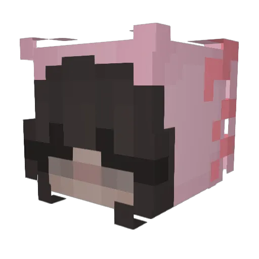 xxottic_ Minecraft avatar head, 3D render