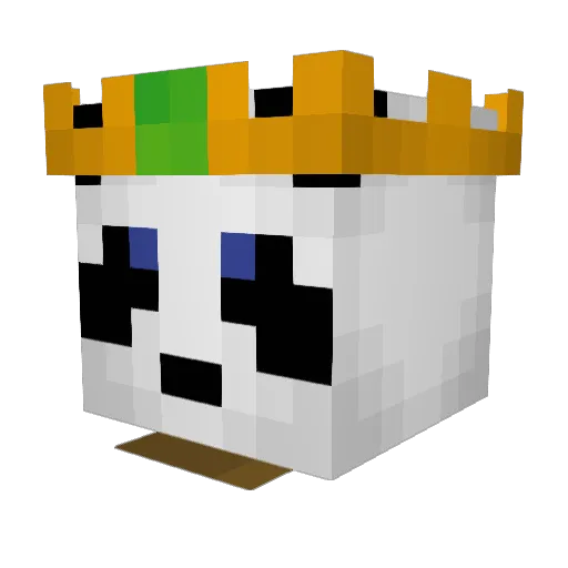xxpandawarrior Minecraft avatar head, 3D render