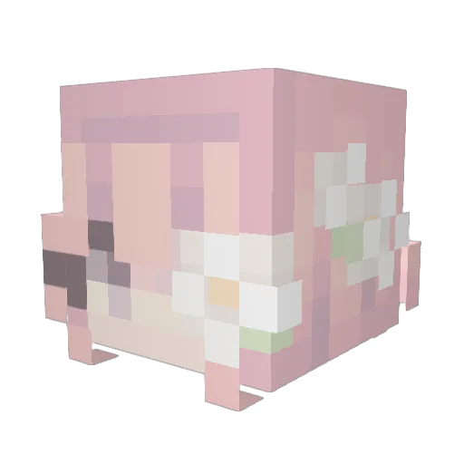 xxpaper7 Minecraft avatar head, 3D render