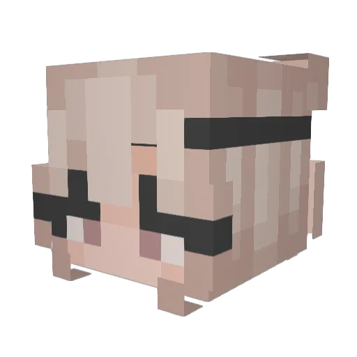 xxqqqliuj Minecraft avatar head, 3D render