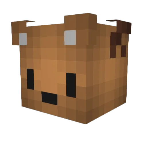 xxs2017 Minecraft avatar head, 3D render