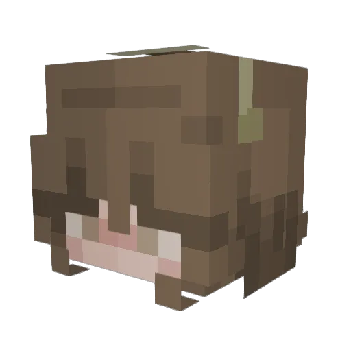 xxsal Minecraft avatar head, 3D render
