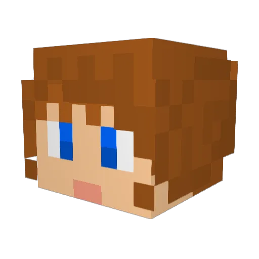 xxsoshixx Minecraft avatar head, 3D render