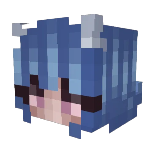 xxtenezxx Minecraft avatar head, 3D render