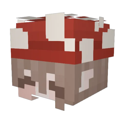 xxteusxx Minecraft avatar head, 3D render