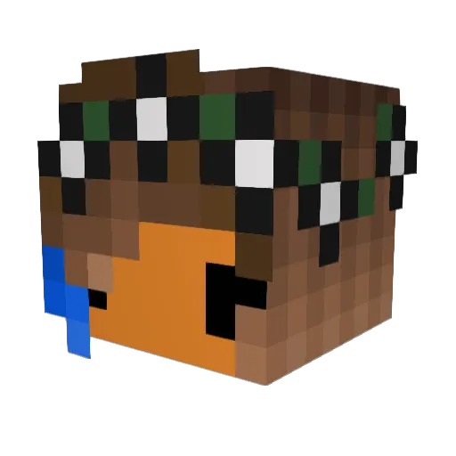 xxtonywhyxx Minecraft avatar head, 3D render