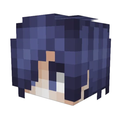 xxtrynt Minecraft avatar head, 3D render