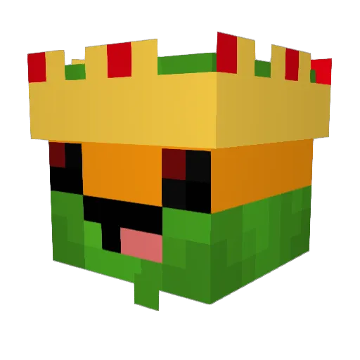 xxturtles202xx Minecraft avatar head, 3D render
