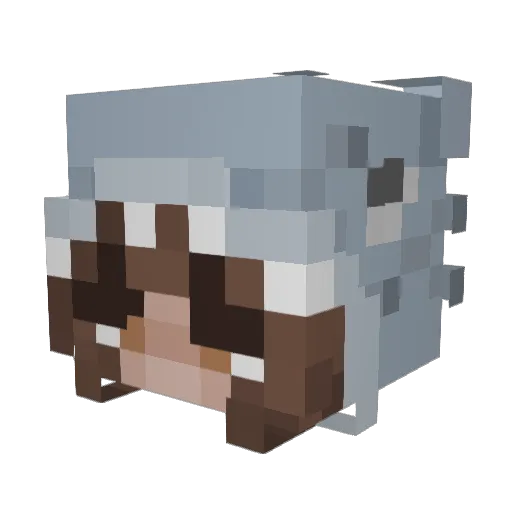 xxveggieeeeBeef Minecraft avatar head, 3D render