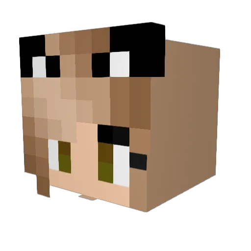 xxxJensen Minecraft avatar head, 3D render