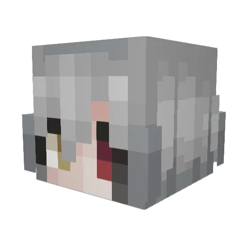 xxxx444 Minecraft avatar head, 3D render