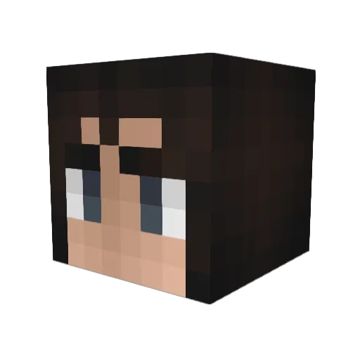 xxxxPunisher Minecraft avatar head, 3D render