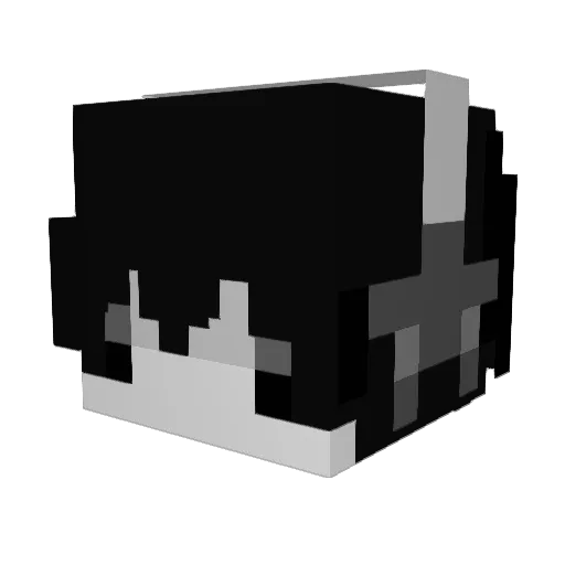 xxxxxxxxxxxxxxx3 Minecraft avatar head, 3D render