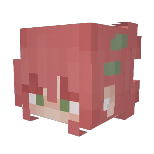 xylewastaken Minecraft avatar head, 3D render
