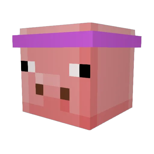 xylopopo Minecraft avatar head, 3D render