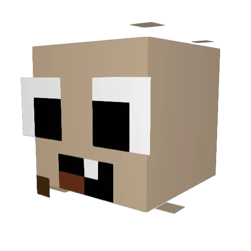 xylos1904 Minecraft avatar head, 3D render
