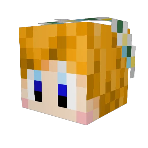 xylotonium Minecraft avatar head, 3D render