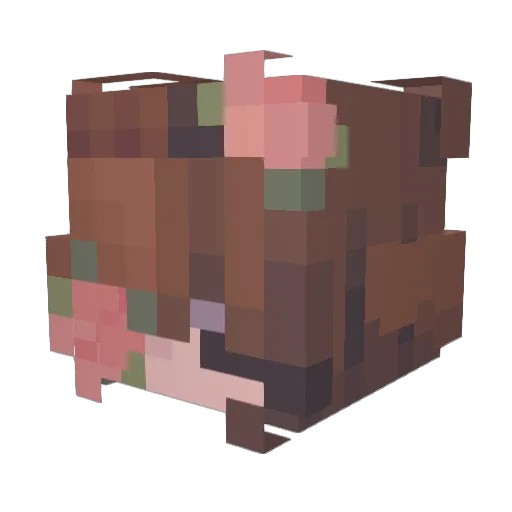 xyphaea Minecraft avatar head, 3D render