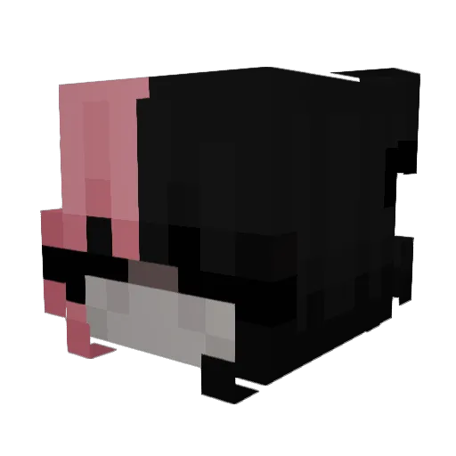xyq5 Minecraft avatar head, 3D render