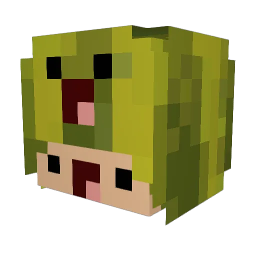 xyrspeedy4545 Minecraft avatar head, 3D render