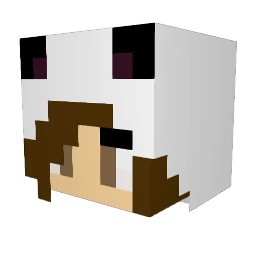 xyunax Minecraft avatar head, 3D render