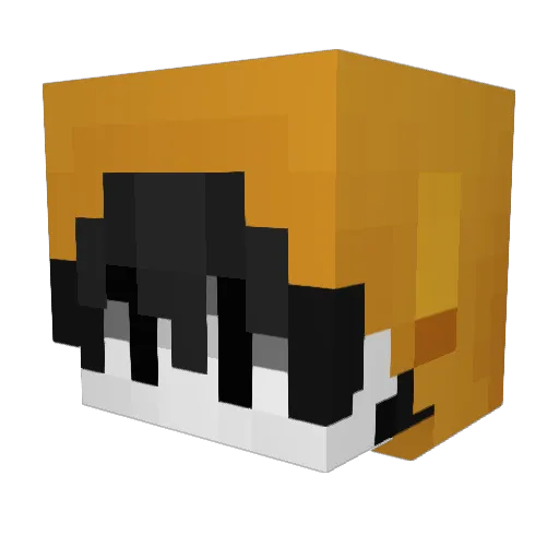 xyx0_0 Minecraft avatar head, 3D render