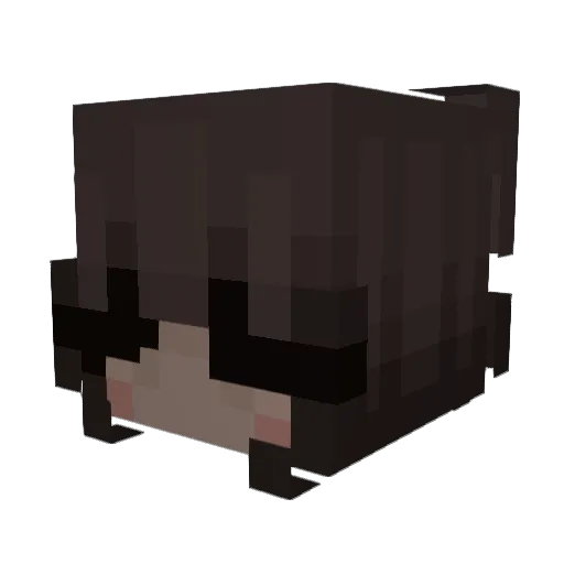 xzcvbnm Minecraft avatar head, 3D render