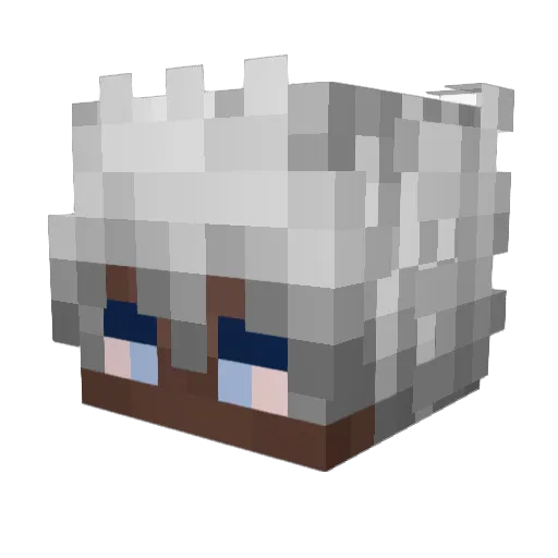 xzo50 Minecraft avatar head, 3D render