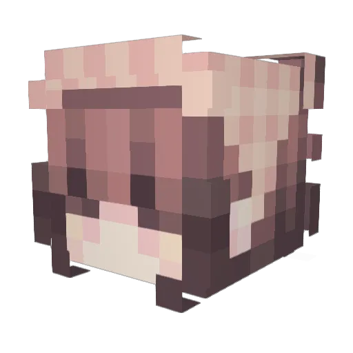 xzvg_ Minecraft avatar head, 3D render