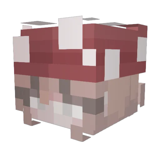 y0rN4N Minecraft avatar head, 3D render