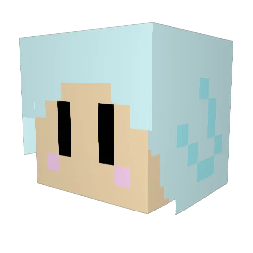 y0username Minecraft avatar head, 3D render