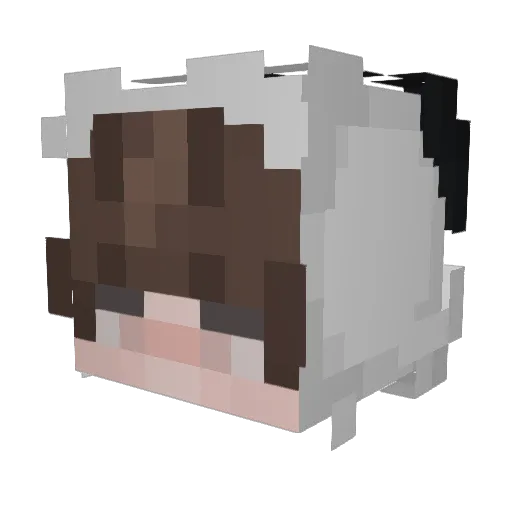 y0zu Minecraft avatar head, 3D render