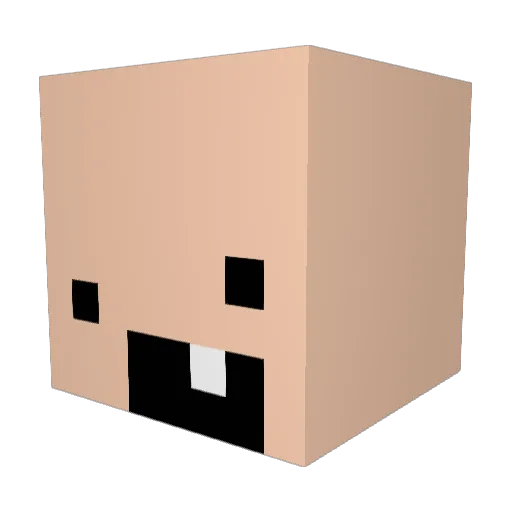 y1111x Minecraft avatar head, 3D render