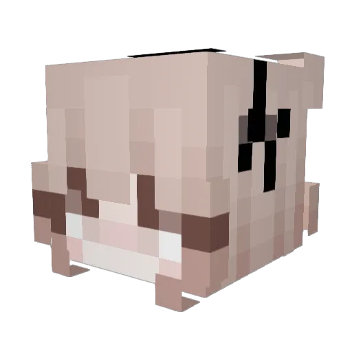 y2jupi Minecraft avatar head, 3D render
