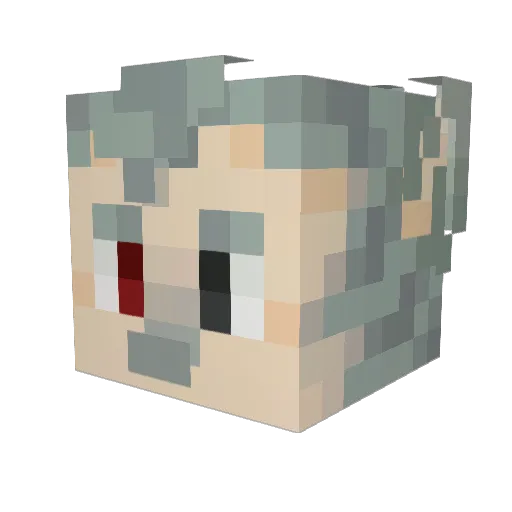 y2k9 Minecraft avatar head, 3D render