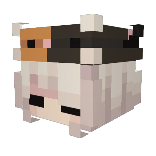 y2kitty Minecraft avatar head, 3D render
