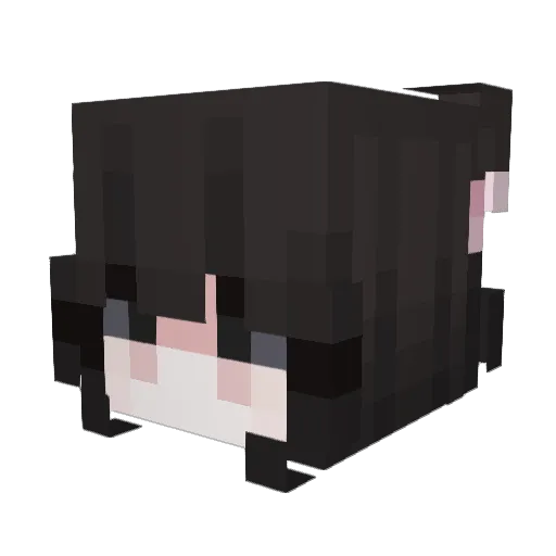 y4z Minecraft avatar head, 3D render