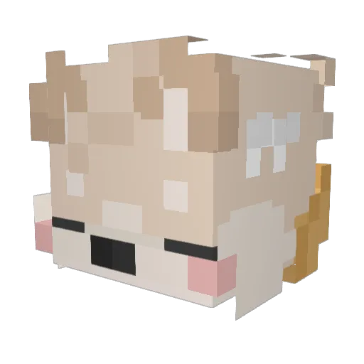 y6cky Minecraft avatar head, 3D render