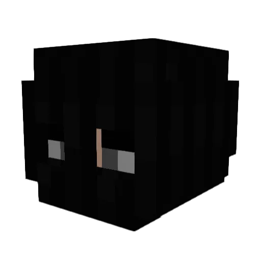 y6n_ Minecraft avatar head, 3D render