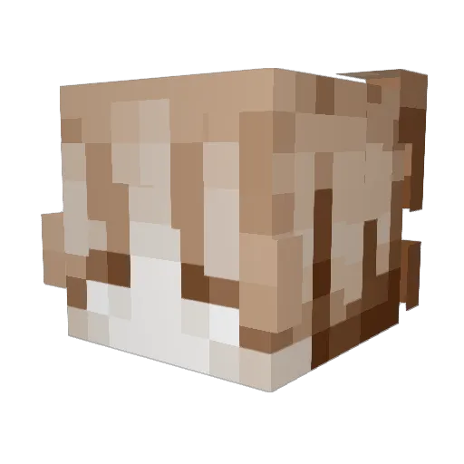 yBenn Minecraft avatar head, 3D render