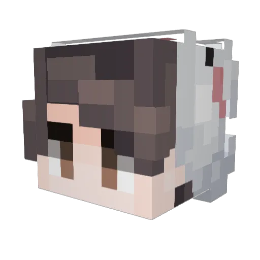 yCosmos Minecraft avatar head, 3D render