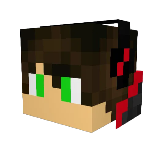 yFlashGamer Minecraft avatar head, 3D render