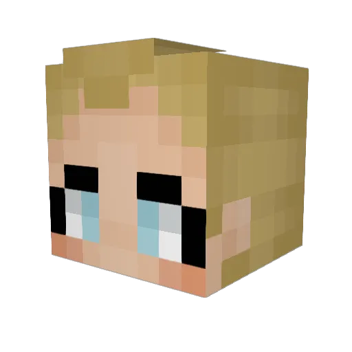 yImput Minecraft avatar head, 3D render