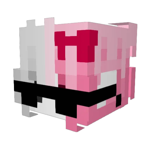 yJupytter Minecraft avatar head, 3D render